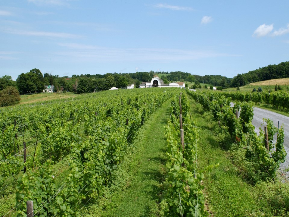 Millbrook Vineyards &amp; Winery